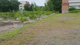 Land for sale in Muen Wai, Nakhon Ratchasima