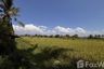Land for sale in Pa Pong, Chiang Mai