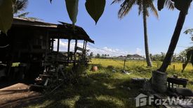 Land for sale in Pa Pong, Chiang Mai