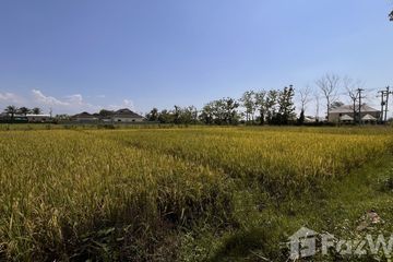 Land for sale in Pa Pong, Chiang Mai