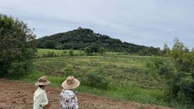 Land for sale in Mu Si, Nakhon Ratchasima