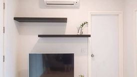 1 Bedroom Condo for sale in The Tree Sukhumvit 71 - Ekamai, Suan Luang, Bangkok near Airport Rail Link Ramkhamhaeng