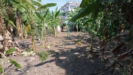 Land for sale in Bang Waek, Bangkok