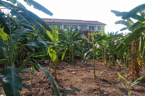 Land for sale in Bang Waek, Bangkok