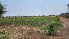 Land for sale in Nong Bunnak, Nakhon Ratchasima