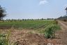 Land for sale in Nong Bunnak, Nakhon Ratchasima