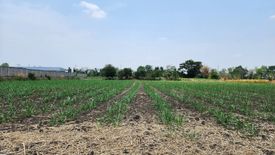 Land for sale in Nong Bunnak, Nakhon Ratchasima