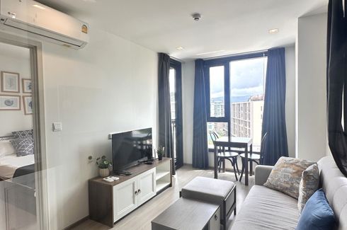 1 Bedroom Condo for rent in THE BASE Central-Phuket, Wichit, Phuket