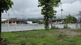 Land for sale in Don Kaeo, Chiang Mai
