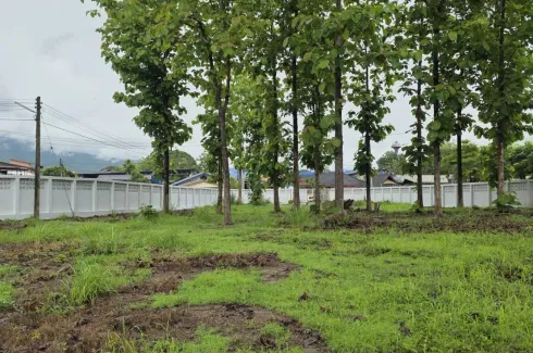 Land for sale in Don Kaeo, Chiang Mai