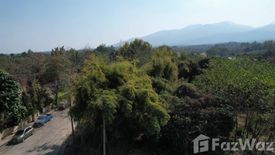 Land for sale in Rim Tai, Chiang Mai
