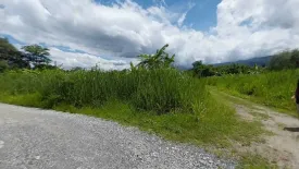 Land for sale in Don Kaeo, Chiang Mai