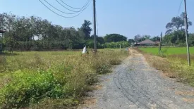 Land for sale in Chom Phu, Chiang Mai