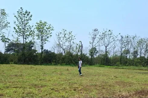 Land for sale in Chom Phu, Chiang Mai