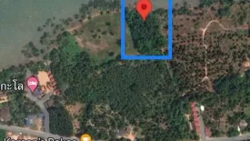 Land for sale in Ko Chang, Trat