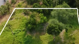 Land for sale in Ko Chang, Trat