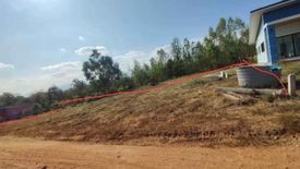 Land for sale in Na Ngua, Phetchabun