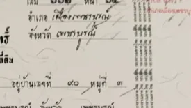 Land for sale in Na Ngua, Phetchabun