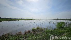 Land for sale in Ban Ko, Phra Nakhon Si Ayutthaya