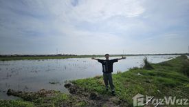 Land for sale in Ban Ko, Phra Nakhon Si Ayutthaya