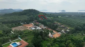 Land for sale in Thep Krasatti, Phuket