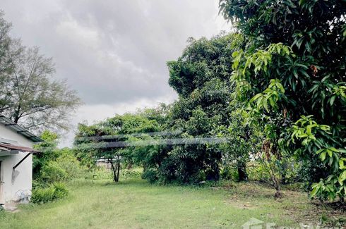 Land for sale in Choeng Thale, Phuket