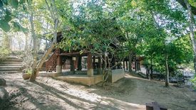 Land for sale in Pa Miang, Chiang Mai