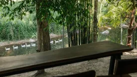 Land for sale in Pa Miang, Chiang Mai