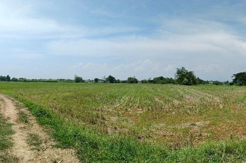 Land for sale in Ton Pao, Chiang Mai