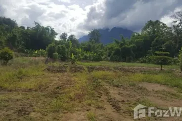 Land for sale in Chiang Dao, Chiang Mai