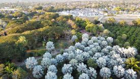 Land for sale in Ban Waen, Chiang Mai