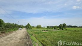 Land for sale in Ban Ko, Phra Nakhon Si Ayutthaya