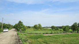 Land for sale in Ban Ko, Phra Nakhon Si Ayutthaya