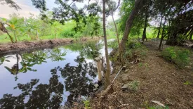 Land for sale in Thawi Watthana, Nonthaburi