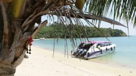 Land for sale in Ratsada, Phuket