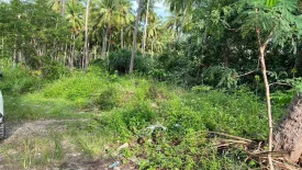 Land for sale in Ang Thong, Surat Thani