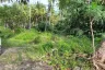 Land for sale in Ang Thong, Surat Thani