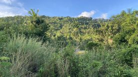 Land for sale in Na Mueang, Surat Thani