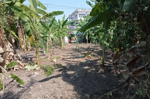 Land for sale in Bang Waek, Bangkok