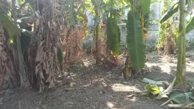 Land for sale in Bang Waek, Bangkok