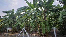 Land for sale in Thung Song Hong, Bangkok near MRT Government Complex