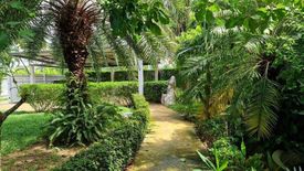 1 Bedroom House for rent in Original Dockkhun, Rawai, Phuket