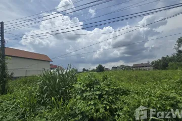 Land for sale in Pa Daet, Chiang Mai
