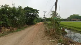 Land for sale in Mueang Kaeo, Chiang Mai