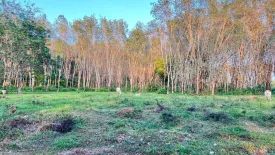 Land for sale in Si Sunthon, Phuket
