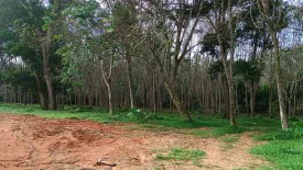 Land for sale in Si Sunthon, Phuket