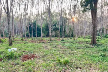 Land for sale in Si Sunthon, Phuket