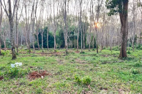 Land for sale in Si Sunthon, Phuket