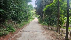 Land for sale in Bo Phut, Surat Thani