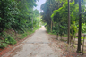 Land for sale in Bo Phut, Surat Thani
